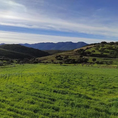 La Colmena Del Geoparque Tr -cc 00489 * Navatrasierra