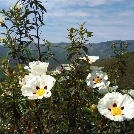 La Colmena Del Geoparque Tr -cc 00489 Venkovský dům Navatrasierra