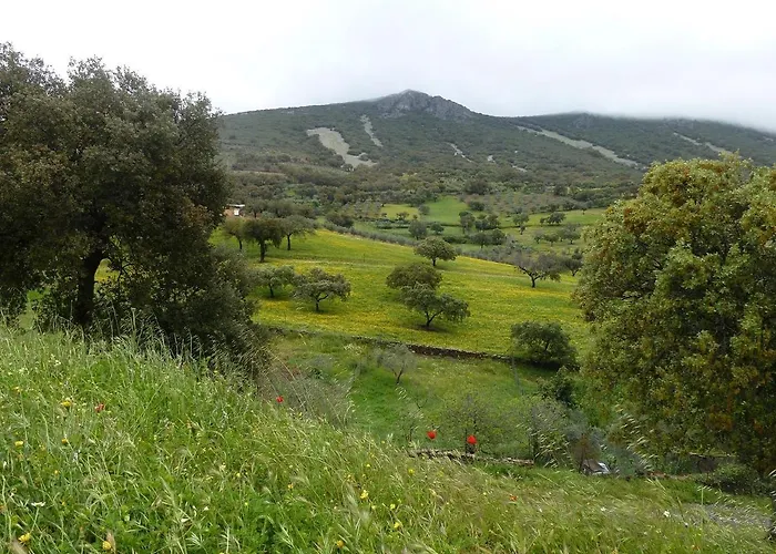 La Colmena Del Geoparque Casa rural