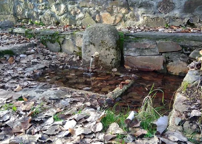 La Colmena Del Geoparque Casa rural