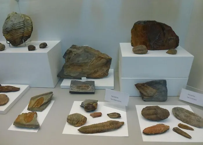 Casa rural La Colmena Del Geoparque