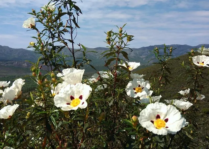 La Colmena Del Geoparque Casa rural Navatrasierra