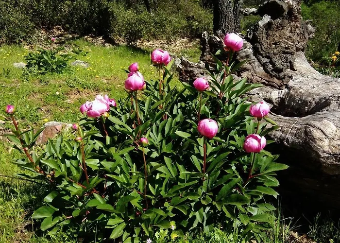 La Colmena Del Geoparque Tr -cc 00489 Εξοχικό σπίτι