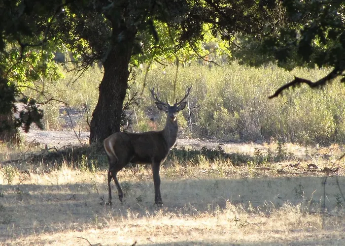 La Colmena Del Geoparque *