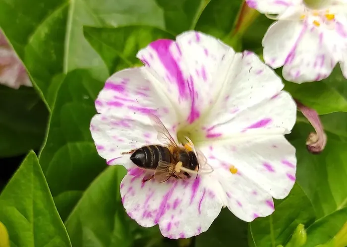 Casa rural La Colmena Del Geoparque